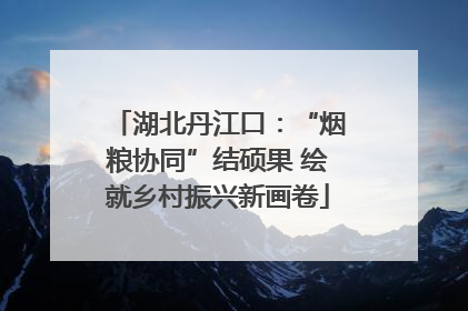 湖北丹江口：“烟粮协同”结硕果 绘就乡村振兴新画卷
